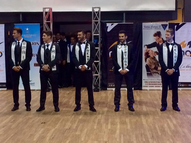 Top5MrRealUniverse2015a