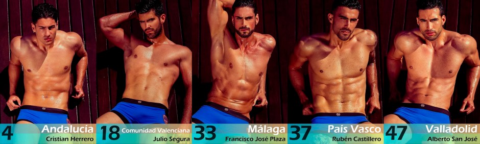 Top10_MrInternationalSpain2016