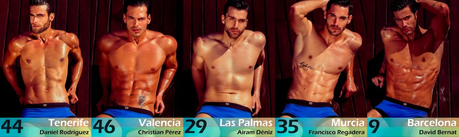 Top5_MrInternationalSpain2016